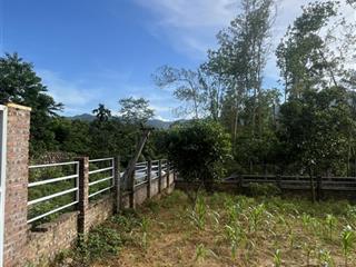 Bán đất tại đông xuân diện tích 2300m