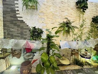 Nhà đẹp phân lô qđ ba đình, ô tô đỗ cửa, 2 thoáng, full nội thất gỗ cao cấp, ô chờ thang máy