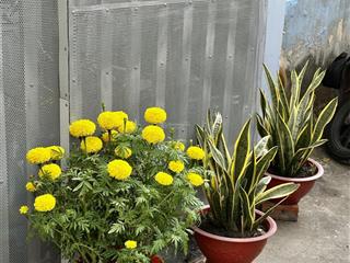 Bán nhà riêng 85m2, 1,2 tỷ tại ấp tân điền, long thượng, cần giuộc, long an