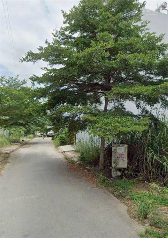 Nhơn đứcnhà bè, đất nền 117m2, lô góc, 7m x 17m, giá 6.5 tỷ (nhỉnh 55tr/m2)