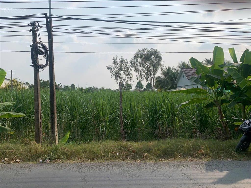 Bán đất 3,8 tỷ, 1448m2 tại đường dh22b, xã phú quới, long hồ, vĩnh long