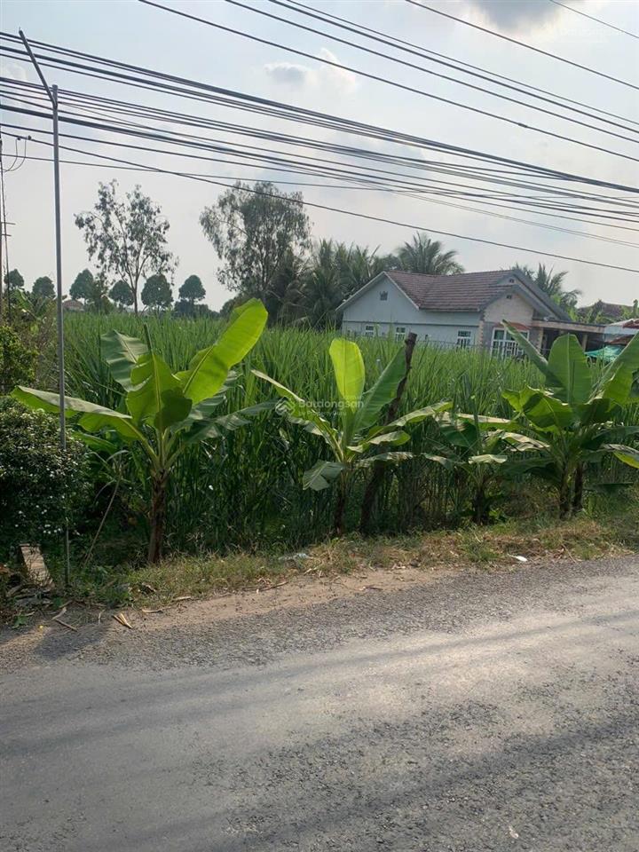 Bán đất 3,8 tỷ, 1448m2 tại đường dh22b, xã phú quới, long hồ, vĩnh long