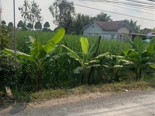 Bán đất 3,85 tỷ, 1448m2 tại đường dh22b, xã phú quới, long hồ, vĩnh long