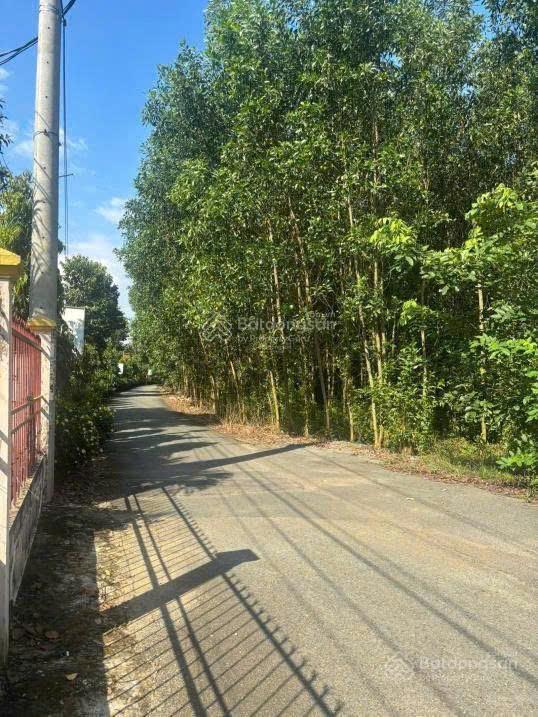 Bán 7.000m² đất ở 2 mặt tiền tại long phước gần quốc lộ 51. giá cực kỳ rẻ.