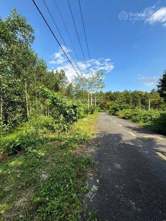 Bán 7.000m² đất ở 2 mặt tiền tại long phước gần quốc lộ 51. giá cực kỳ rẻ.