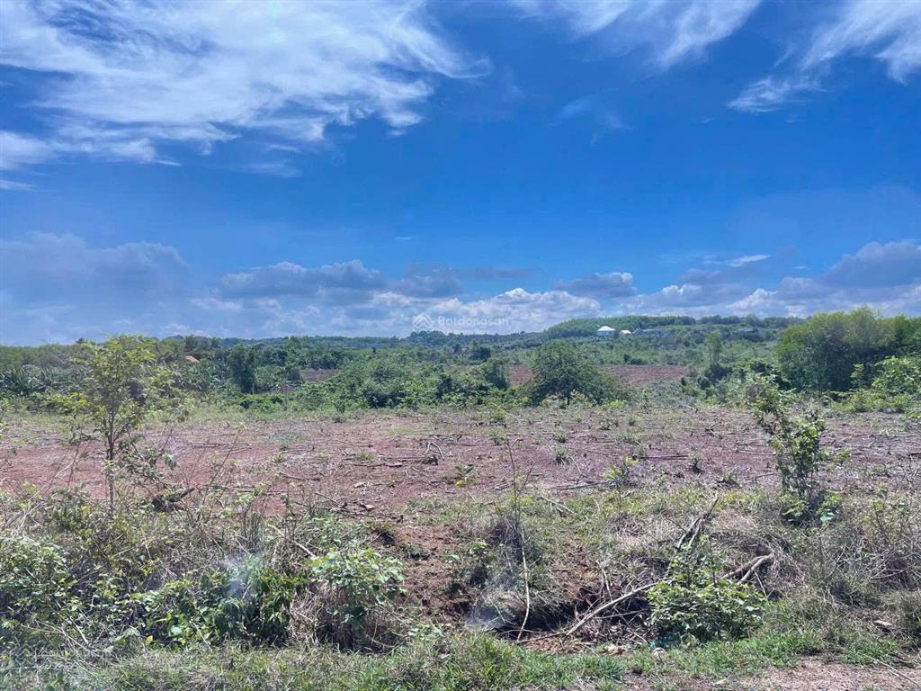 Sở hữu 11 thửa đất liền kề tại phước bình, long thành. full đất ở. thích hợp làm nhà xưởng, kdc