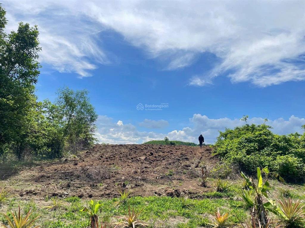 Sở hữu 11 thửa đất liền kề tại phước bình, long thành. full đất ở. thích hợp làm nhà xưởng, kdc