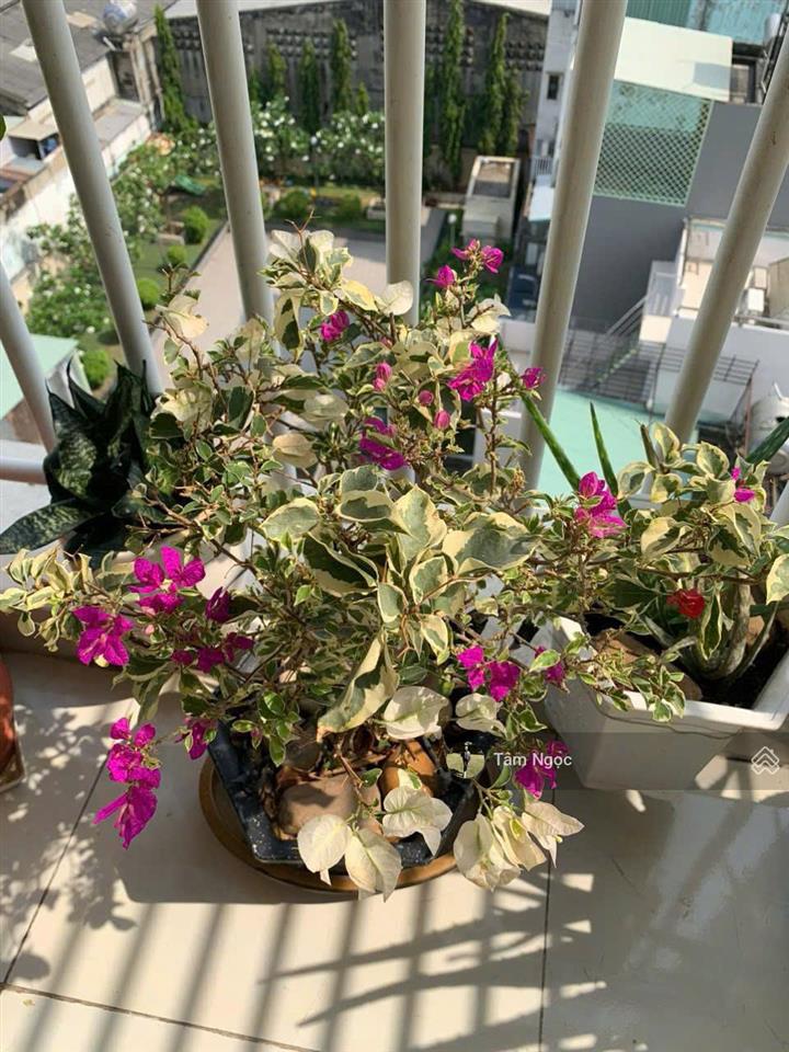 Chủ nhà cần bán gấp cc khuông việt q. tân phú  68m2  2pn, 2wc  giá 1 tỷ 850