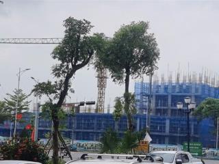 Chính chủ bán đất cự khê thanh oai, ngay khu đô thị thanh hà, 81m2. giá 10 tỷ