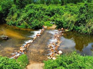 56000 m2 đất sinh thái thôn 3, ninh thượng, gần suối mơ siêu đẹp đầu nguồn bám suối 400m