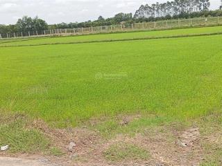 Bán đất tại an tịnh, trảng bàng, tây ninh, 5 tỷ, 2258.3 m2, nhiều tiện ích, uy tín