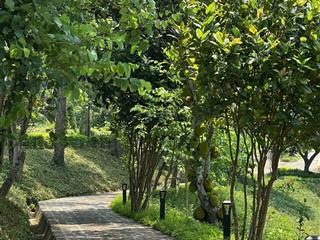 Bán biệt thự đồi thông view intercontinental và hồ thiên thanh | thanh xuân valley
