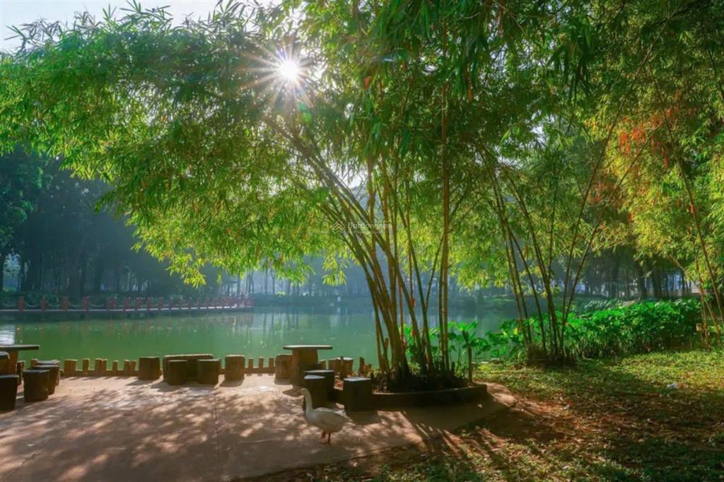 3.8 tỷ  bán 1pn emerald celadon (53m²)  đã có sẵn hợp đồng thuê, mua là có tiền ngay!