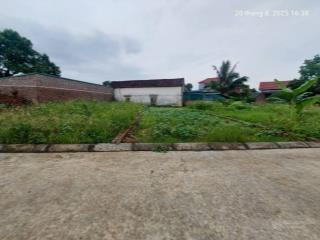 Bán đất thanh trí, sóc sơn (kim anh), 100m2, mt6.3m, ô tô, 2.3 tỷ.
