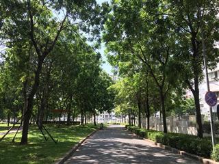 Hàng hiếm tại hương lộ 3, sơn kỳ, tân phú, hồ chí minh, 9,5 triệu, 68 m2