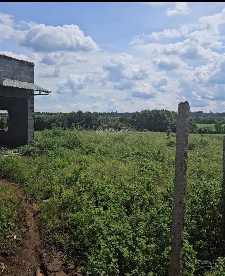 Bán đất vườn ở gần đường 25, làng tào roòng, xã ia pal, huyện chư sê