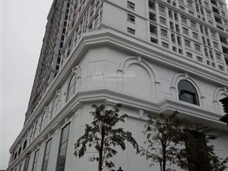 Cho thuê chung cư 2 ngủ chính chủ