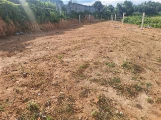 Bán lô đất trồng cây lâu năm mặt tiền đường dt 602