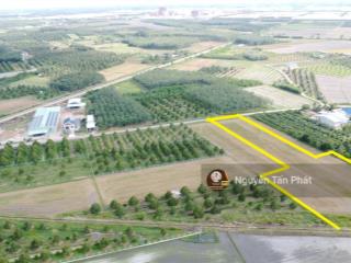 3600m2 đường nhựa. ngay khu đô thị kcn phước đông. 2,6 tỷ