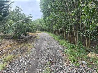 Chính chủ bán đất xuân bắc 11.000m2 mặt tiền 152m, 300m2 thổ cư