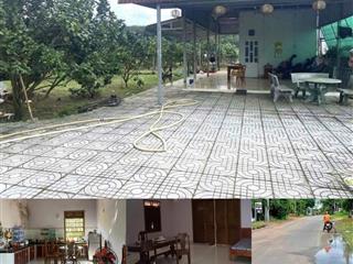 Cực phẩm nhà vườn ngay ql13  chơn thành, liền kề cụm kcn