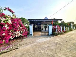 Bán gấp nhà vườn trồng bưởi ngay chợ chơn thành, cách ql13 200m