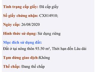 Bán nhà mặt phố trần phú, phước thiền, nhơn trạch, đồng nai, giá ưu đãi 9 tỷ, 93.5 m2