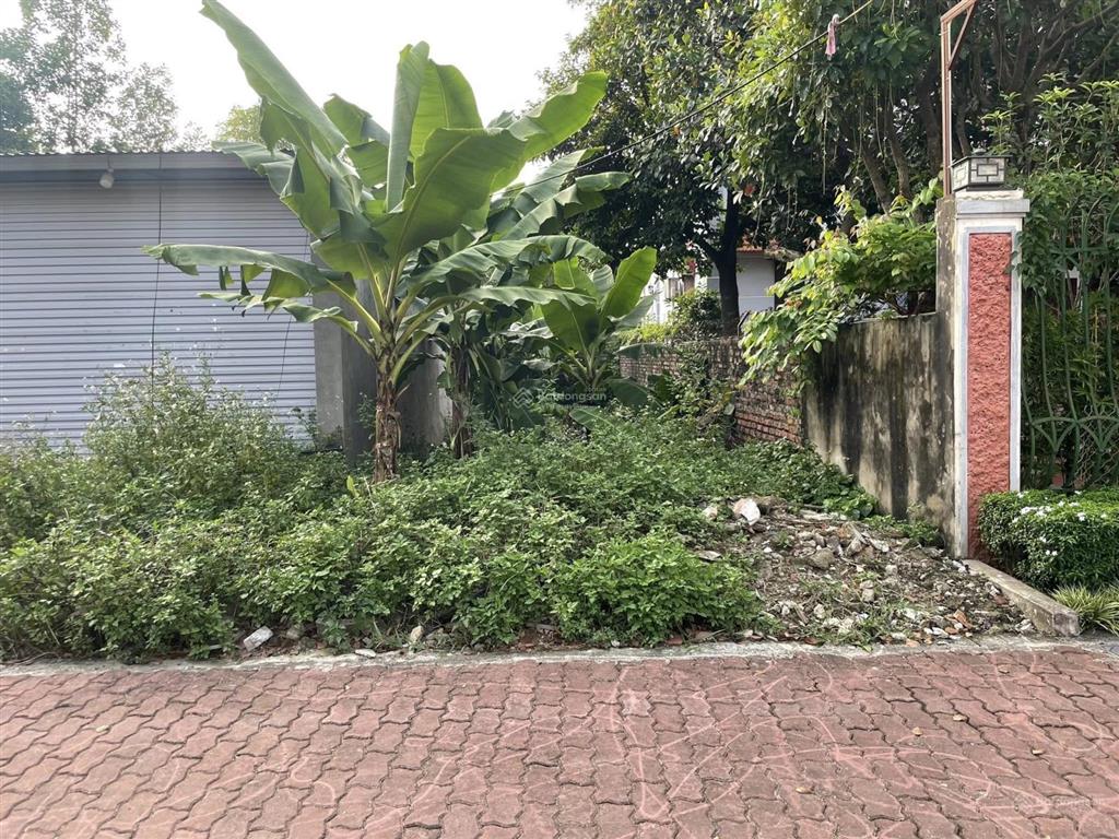 Cắt lỗ cần bán gấp đất phú cát hòa lạc mt 5.7m 154m2 giá chỉ 3,8 tỷ, gần đh fpt, đhqg