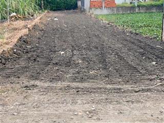 Chính chủ bán đất shr 186m2 tại hoà khánh nam, đức hòa, long an, giá 1,5 tỷ
