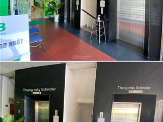Cho thuê tòa nhà hòa bình building cần thơ