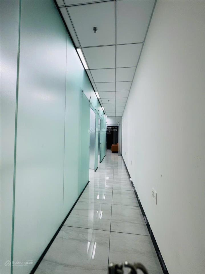 Văn phòng cho thuê 75 triệu, 100m2 tại 156 đường hoàng trọng mậu, tân hưng, q7, hcm