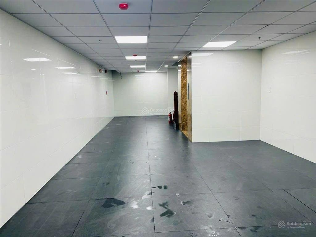 Văn phòng cho thuê 75 triệu, 100m2 tại 156 đường hoàng trọng mậu, tân hưng, q7, hcm