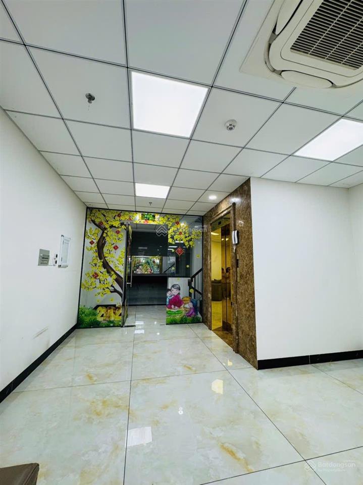 Văn phòng cho thuê 75 triệu, 100m2 tại 156 đường hoàng trọng mậu, tân hưng, q7, hcm