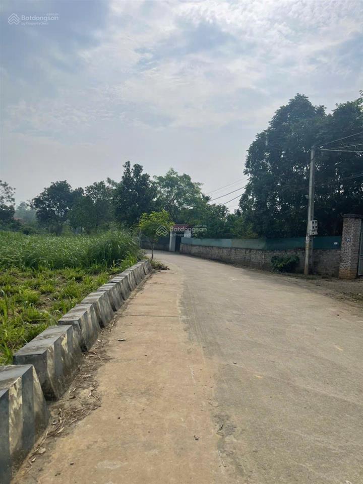 Cc gửi bán hai lô đất yên bài dt 714m2 tc 150m2 mặt đường 14m diện tích 595m2 mặt 13,6m tc 150m2