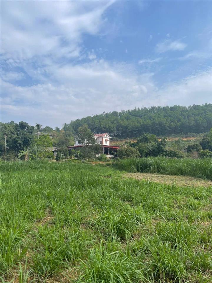 Cc gửi bán hai lô đất yên bài dt 714m2 tc 150m2 mặt đường 14m diện tích 595m2 mặt 13,6m tc 150m2