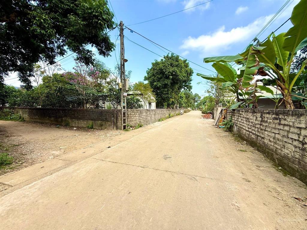 Đẹp lắm các bác ơi
chủ nhà không có thời gian chăm sóc nên nhượng lại cho bác nào yêu thích vườn tư