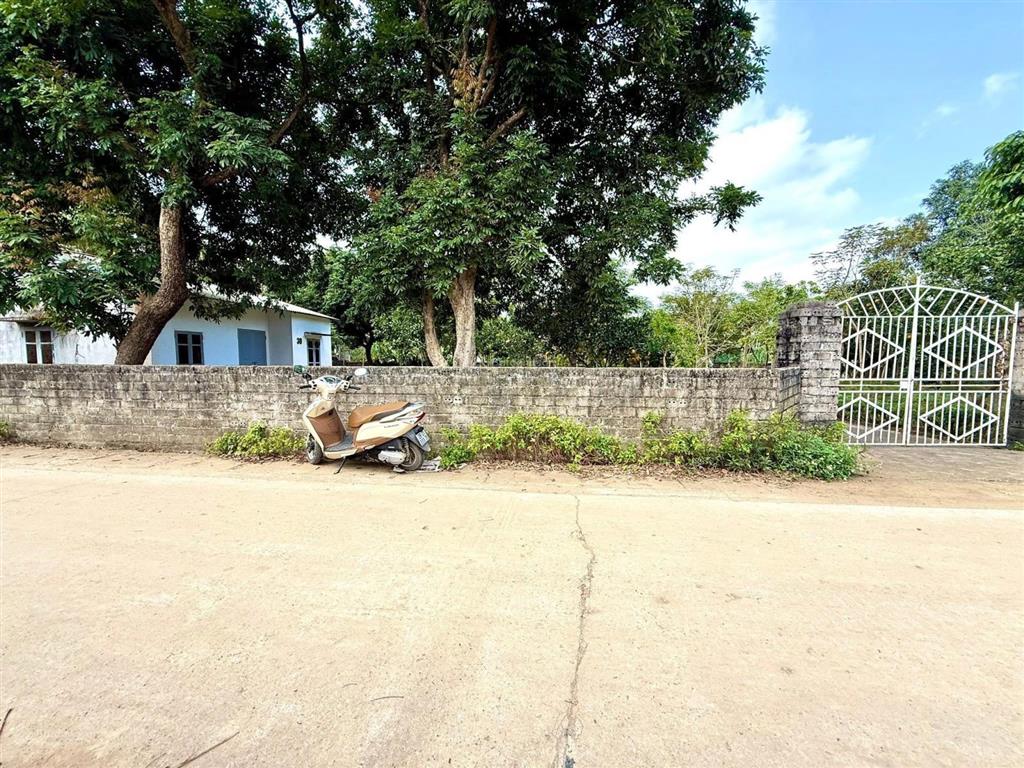 Đẹp lắm các bác ơi
chủ nhà không có thời gian chăm sóc nên nhượng lại cho bác nào yêu thích vườn tư