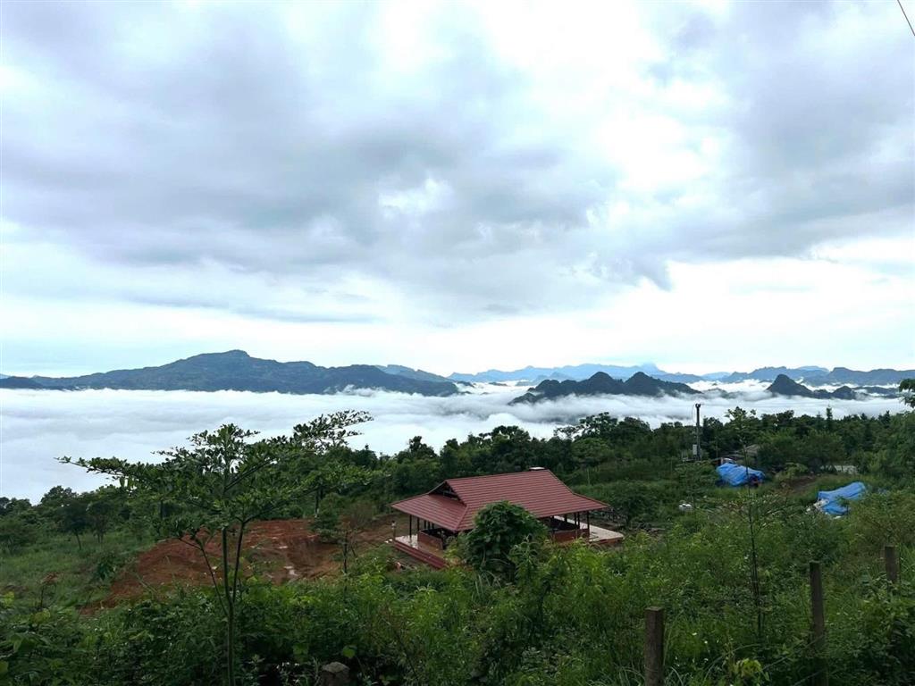 Bán đất làm khu nghỉ dưỡng đỉnh đồn đèn, hồ ba bể, bắc kạn,  trực tiếp 0888 556 ***