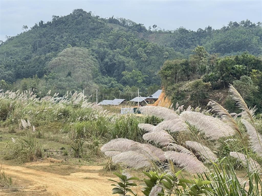Bán trang trại, khu nghỉ dưỡng tại p. phùng chí kiên, bắc kạn, 9 tỷ, 11000 m2, giá siêu hời, uy tín