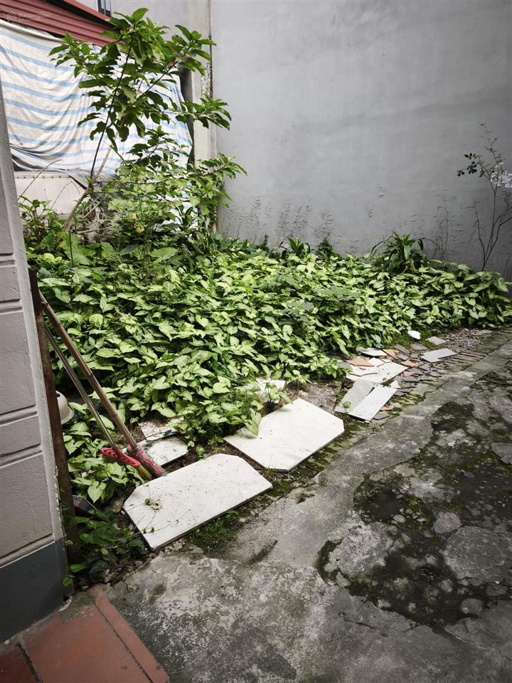 40m2 phú thị (phú sơn) ô tô gần 100m chợ sủi huyền thoại, chỉ 3 tỷ