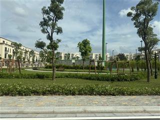 Chính chủ bán căn thiên nga 6, vinhomes cổ loa
