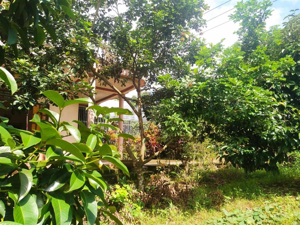 Bán nhà vườn hơn 2 sào ngay quốc lộ 20 (dưới đèo bảo lộc)