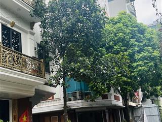 Giữa tt cầu giấy có căn nhà 82m, sân trước xanh mát, oto vào tận cửa.