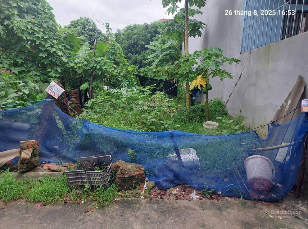 Bán đất quang minh 89m2,mt4m, 4.35 tỷ, hà nội, ô tô nhỏ.