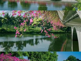 Cần bán căn hộ studio view hồ thiên nga toà onsen đủ đồ giá tốt  0832 394 ***