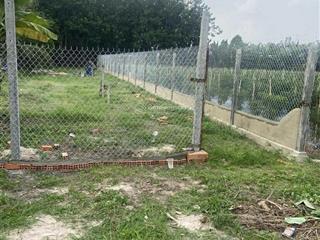 Cho thuê đất thổ cư 400m² (8x50m) mặt tiền nhựa lộc trát, gia lộc, trảng bàng, tây ninh