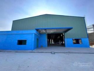 Nhà đất ngộp cần bán gấp miếng đất lớn giá phải chăng, shr gần chợ