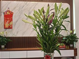 Hoa hậu lô góc lk văn phú  hà đông * diện tích 67m2 * 5tầng * giá 17.5tỷ  cạnh siêu thị metro hđ