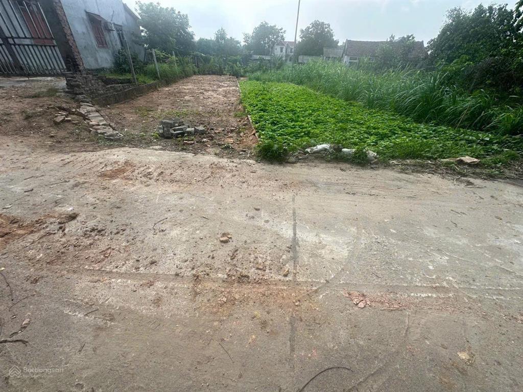 Bán đất ven khu công nghiệp tam dương vĩnh phúc
