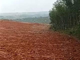 Cho thuê 500ha bù đăng, bình phước 6tr/ha/1 năm. thời gian 30 năm. trả thành 3 đợt. 10 năm 1 lần
